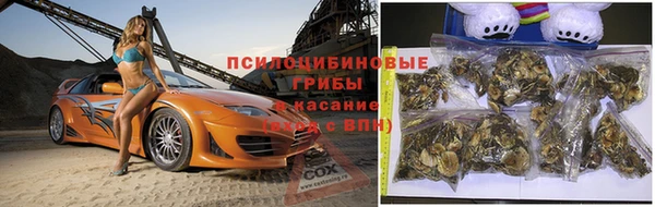 прущая мука Калининец
