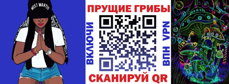 Галлюциногенные грибы Psilocybine cubensis  Купить закладки  Выкса 
